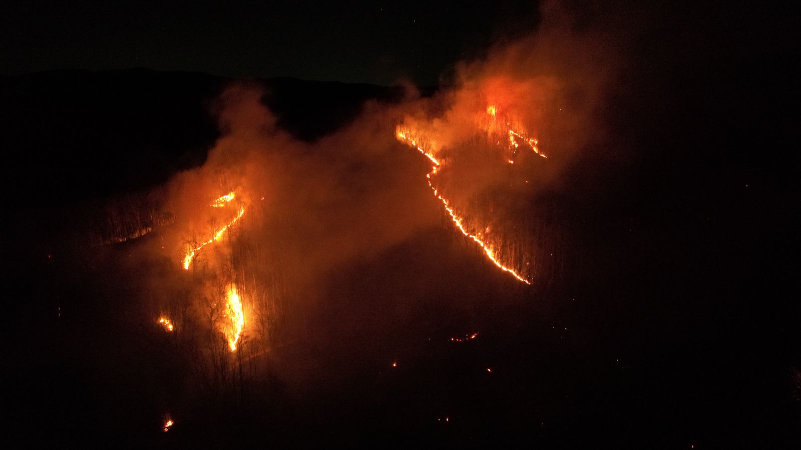 Wildfire Monitoring